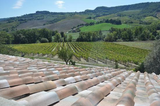 Agriturismo Cioccoleta Орвието Экстерьер фото